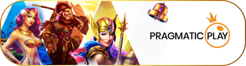pp-banner